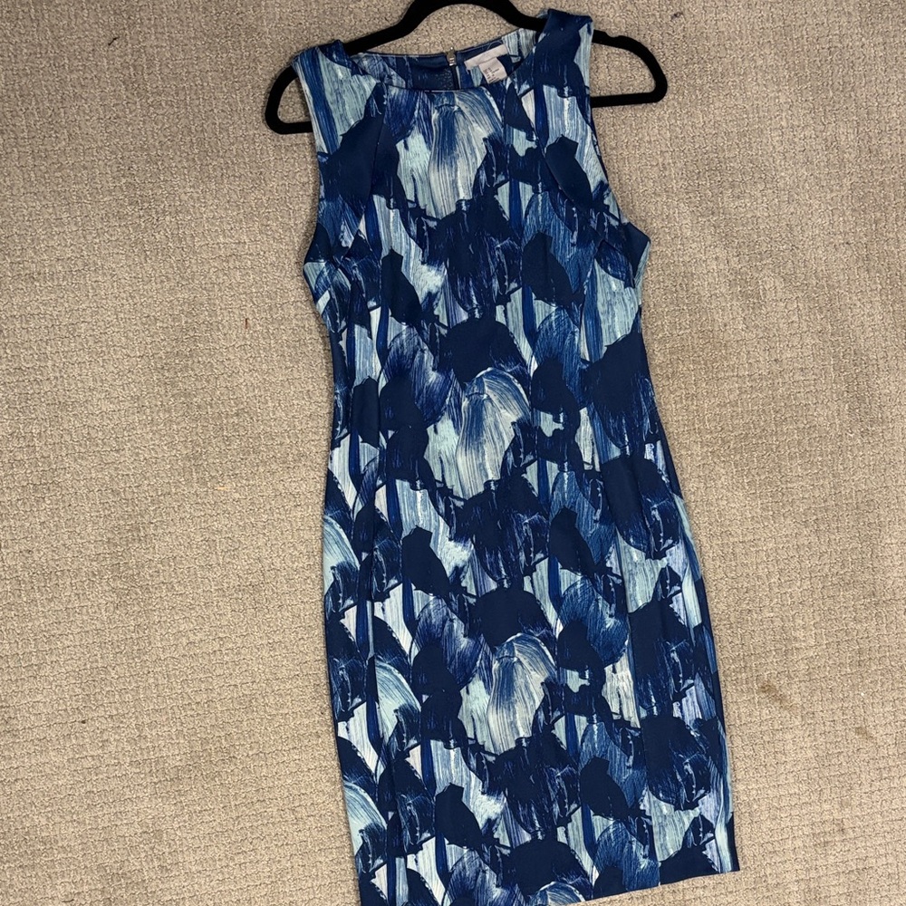 Blue and White Sleeveless Interview Dress